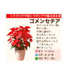 架空植物図鑑（個別スタンプ：35）
