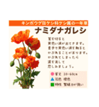架空植物図鑑（個別スタンプ：36）