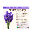 架空植物図鑑（個別スタンプ：40）