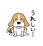 ビーグル犬「ピノ」（改）（個別スタンプ：1）
