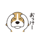 ビーグル犬「ピノ」（改）（個別スタンプ：4）