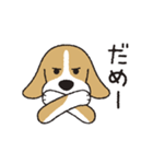ビーグル犬「ピノ」（改）（個別スタンプ：5）