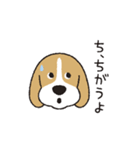 ビーグル犬「ピノ」（改）（個別スタンプ：7）