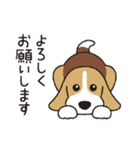 ビーグル犬「ピノ」（改）（個別スタンプ：9）