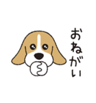 ビーグル犬「ピノ」（改）（個別スタンプ：10）