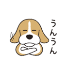 ビーグル犬「ピノ」（改）（個別スタンプ：11）