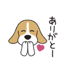 ビーグル犬「ピノ」（改）（個別スタンプ：12）
