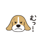 ビーグル犬「ピノ」（改）（個別スタンプ：13）