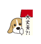 ビーグル犬「ピノ」（改）（個別スタンプ：15）