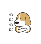 ビーグル犬「ピノ」（改）（個別スタンプ：16）