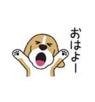 ビーグル犬「ピノ」（改）（個別スタンプ：17）