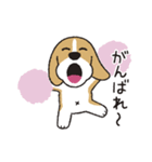 ビーグル犬「ピノ」（改）（個別スタンプ：19）