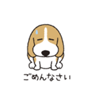 ビーグル犬「ピノ」（改）（個別スタンプ：21）