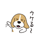 ビーグル犬「ピノ」（改）（個別スタンプ：23）