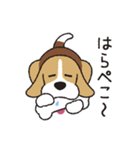ビーグル犬「ピノ」（改）（個別スタンプ：27）