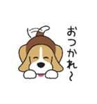 ビーグル犬「ピノ」（改）（個別スタンプ：29）