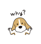 ビーグル犬「ピノ」（改）（個別スタンプ：30）