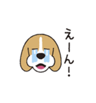 ビーグル犬「ピノ」（改）（個別スタンプ：33）