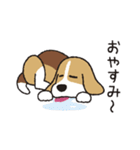 ビーグル犬「ピノ」（改）（個別スタンプ：34）