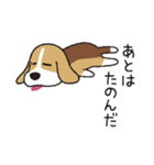 ビーグル犬「ピノ」（改）（個別スタンプ：35）