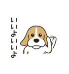 ビーグル犬「ピノ」（改）（個別スタンプ：37）