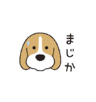 ビーグル犬「ピノ」（改）（個別スタンプ：39）