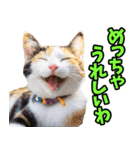三重弁☆にゃんこ（個別スタンプ：9）