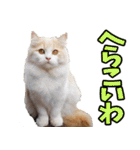 徳島阿波弁☆にゃんこ（個別スタンプ：20）