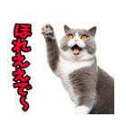 徳島阿波弁☆にゃんこ（個別スタンプ：21）