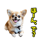 石川・金沢弁☆わんこ（個別スタンプ：33）