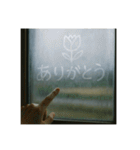窓ガラスの曇りアート1（個別スタンプ：19）