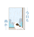 ジュウシマツ！雨のスタンプ（個別スタンプ：15）
