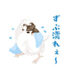 ジュウシマツ！雨のスタンプ（個別スタンプ：19）