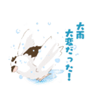 ジュウシマツ！雨のスタンプ（個別スタンプ：20）