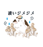 ジュウシマツ！雨のスタンプ（個別スタンプ：22）