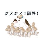 ジュウシマツ！雨のスタンプ（個別スタンプ：23）
