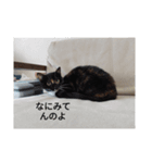 あいまるべる（個別スタンプ：3）