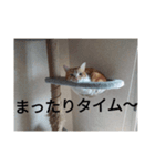 あいまるべる（個別スタンプ：5）