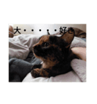 あいまるべる（個別スタンプ：8）