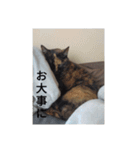 あいまるべる（個別スタンプ：10）