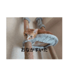 あいまるべる（個別スタンプ：11）