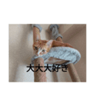 あいまるべる（個別スタンプ：18）