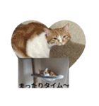 あいまるべる（個別スタンプ：23）