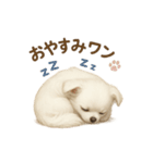 子イヌverチワワ（個別スタンプ：2）
