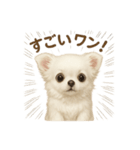 子イヌverチワワ（個別スタンプ：3）