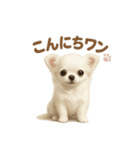 子イヌverチワワ（個別スタンプ：5）