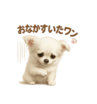 子イヌverチワワ（個別スタンプ：6）