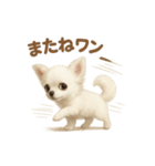 子イヌverチワワ（個別スタンプ：8）