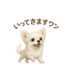 子イヌverチワワ（個別スタンプ：9）