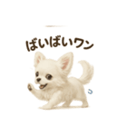 子イヌverチワワ（個別スタンプ：16）